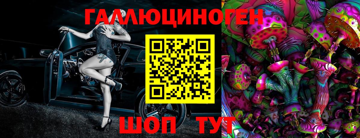 Псилоцибиновые грибы Psilocybine cubensis Ростов-на-Дону