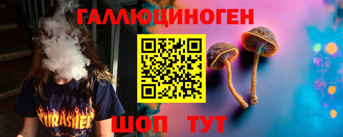 Ростов-на-Дону  Псилоцибиновые грибы мицелий  Псилоцибиновые грибы Psilocybe  Вход с VPN 
